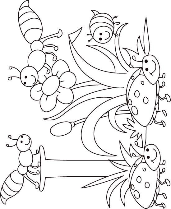 Jumbocoloringinfo insect coloring pages bug coloring pages coloring pages