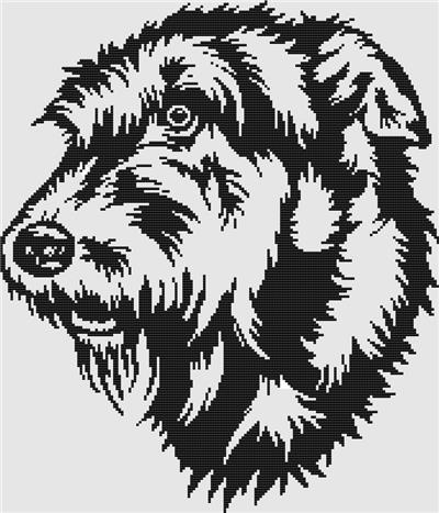 Irish wolfhound