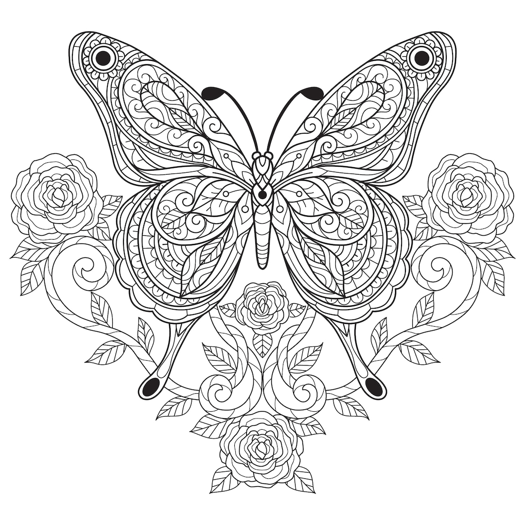 Digital printable beautiful butterfly coloring pages easy difficulty details pages