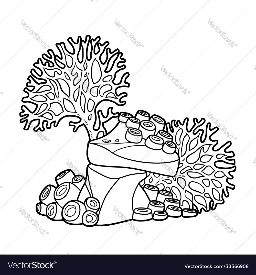 Big coral polyps grow on stone coloring book vector image
