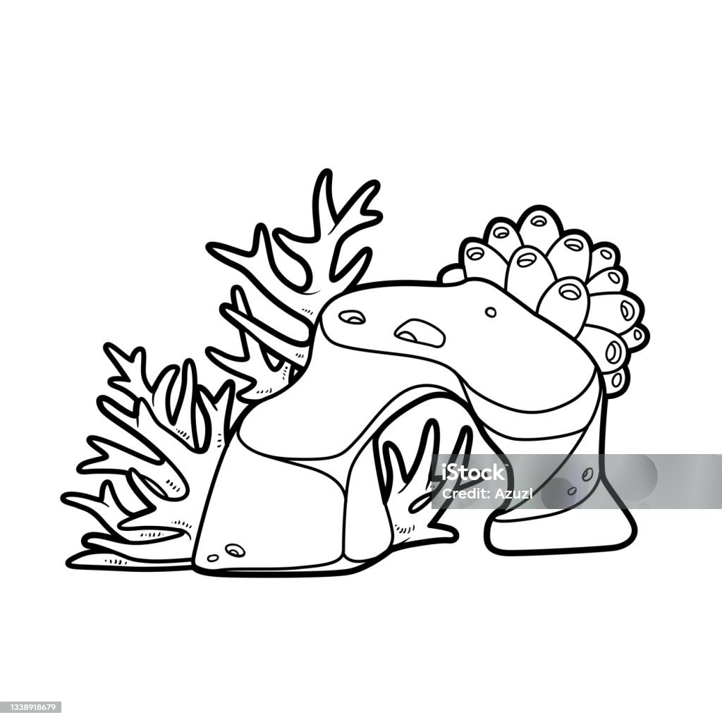 Coral polyp on stone coloring book linear drawing isolated on white background stock illustration