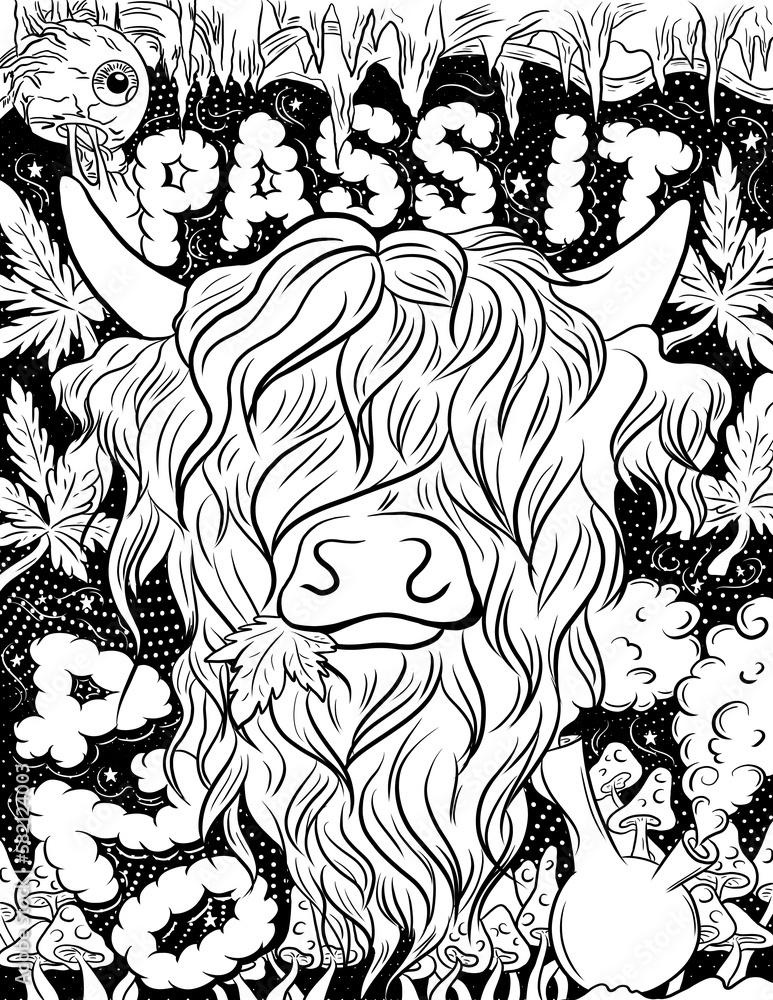 Black and white higland cow coloring page high