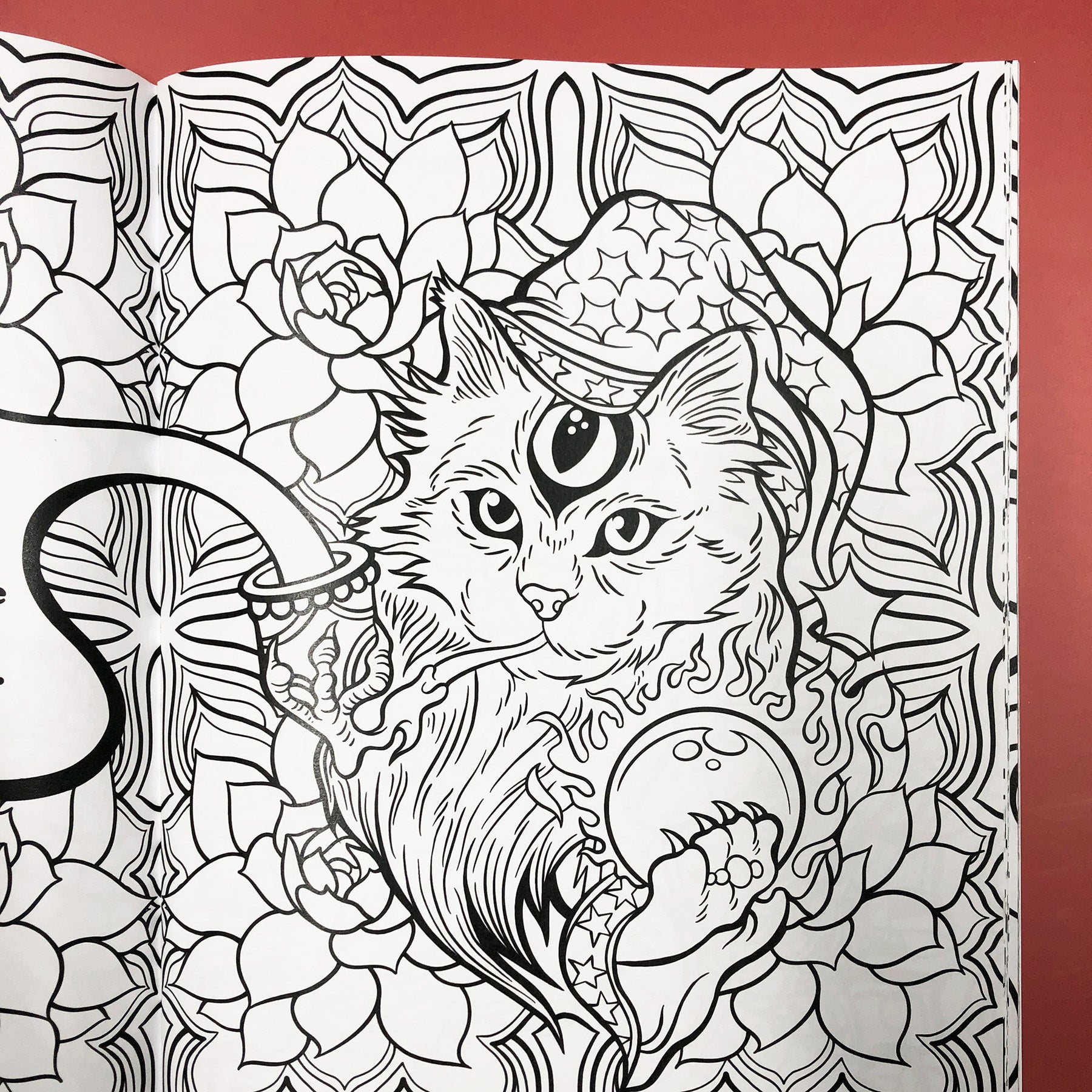Stoner cats coloring book â