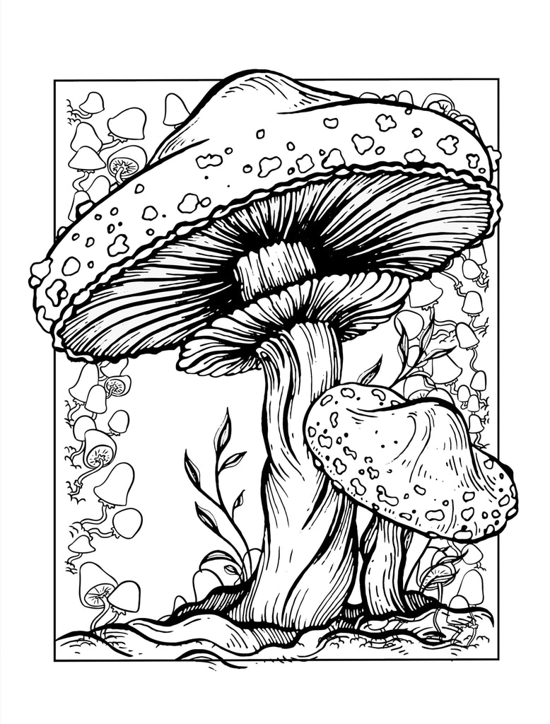 Stoner coloring book digital â monsoon publishing usa