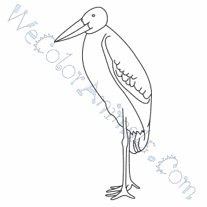 Marabou stork coloring pages