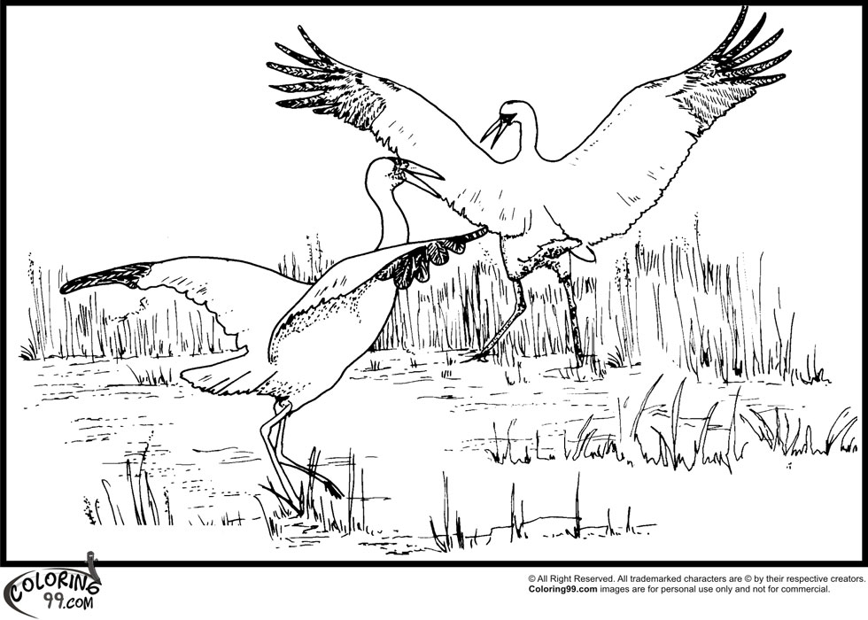 Stork coloring pages team colors