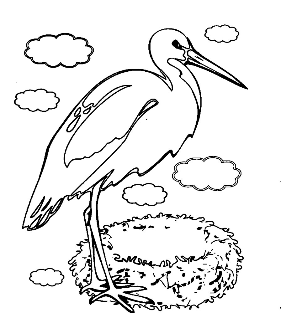 Stork coloring pages to download and print for free