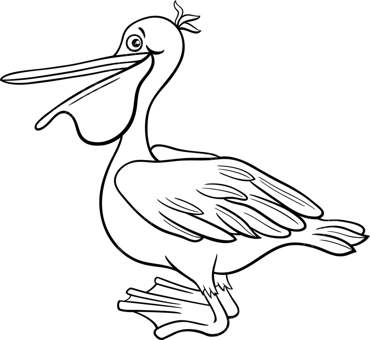 Cartoon pelican bird animal character coloring page black cute graphic vector black cute graphic png and vector with transparent background for free download