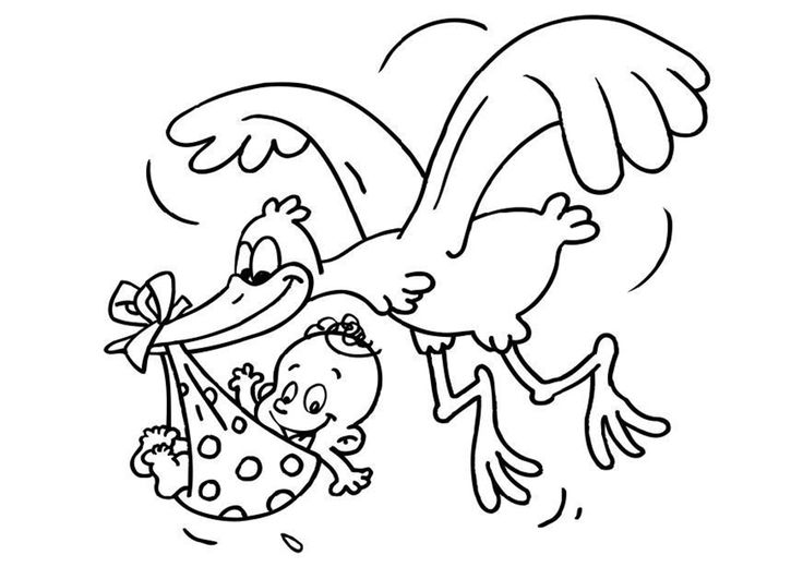 Stork coloring pages