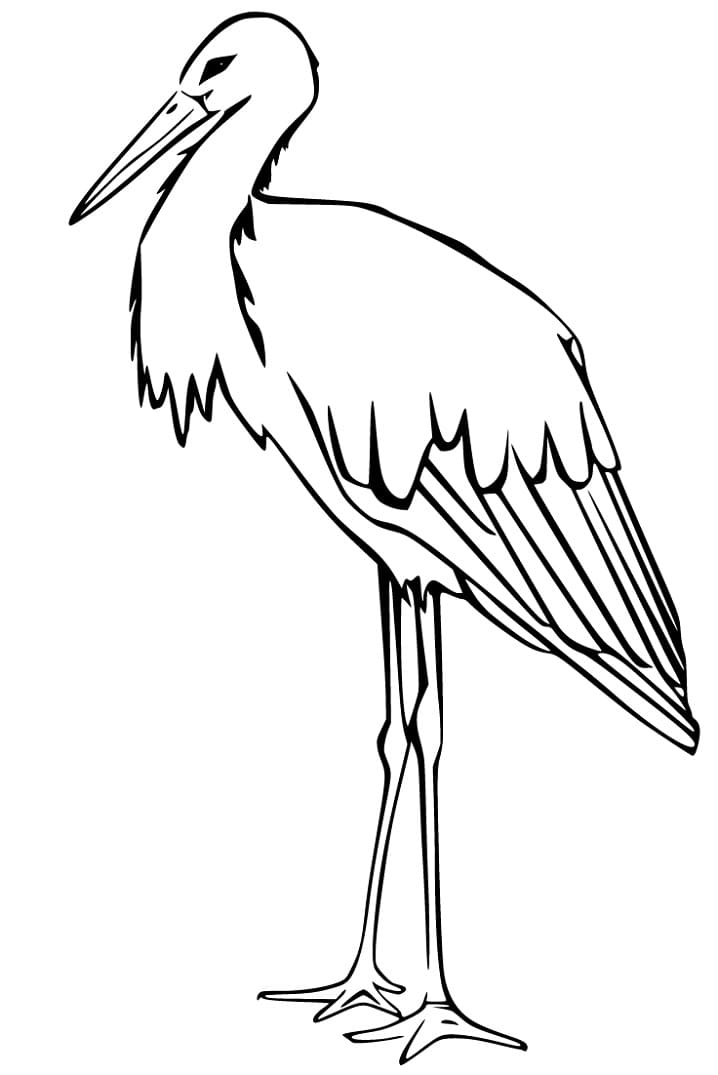 Stork printable fãrbung seite