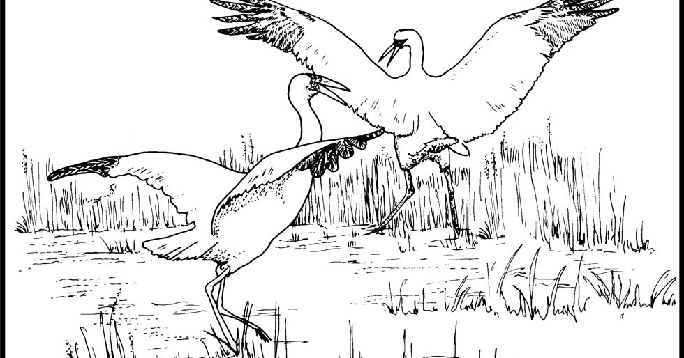 Stork coloring pages team colors