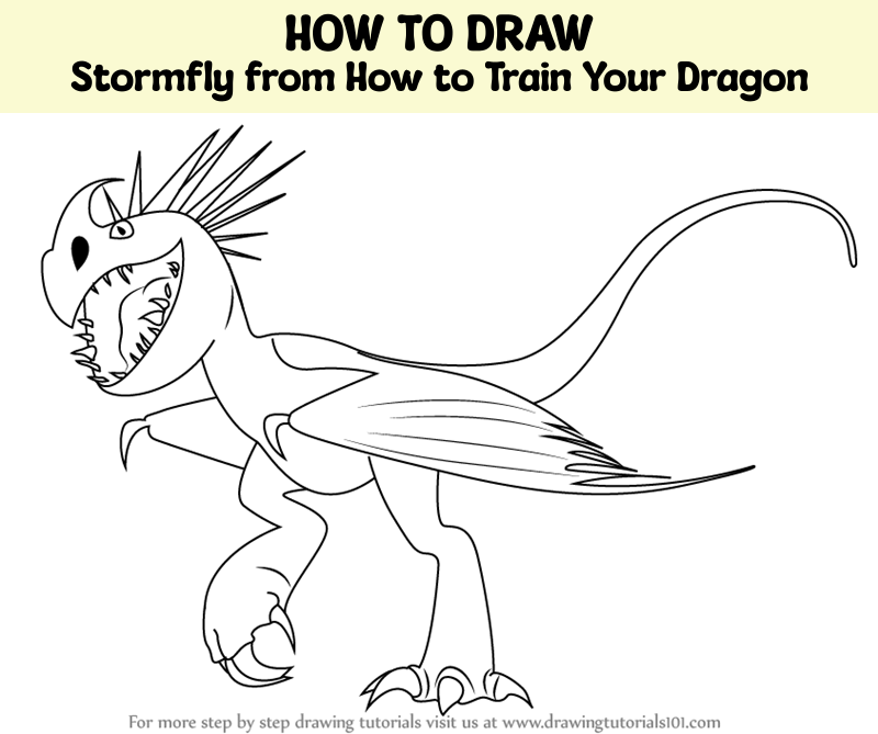 How to draw stormfly from how to train your dragon how to train your dragon step by step