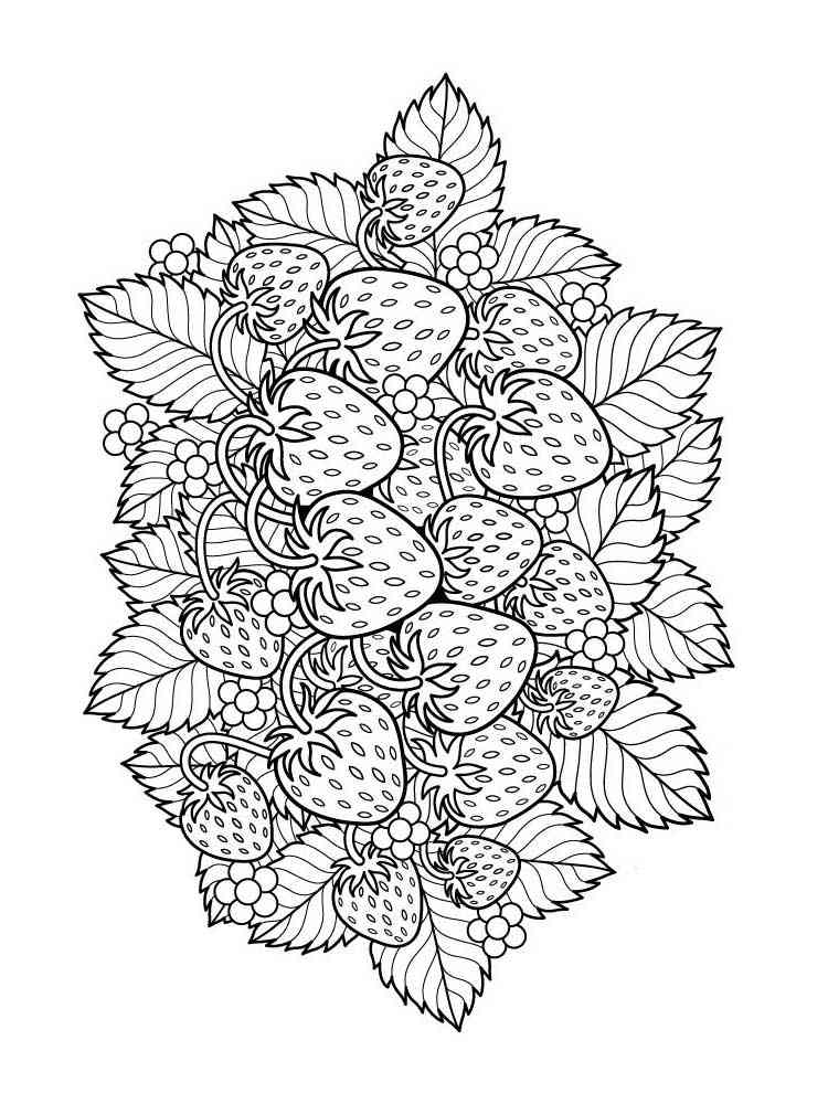 Strawberry coloring pages for adults