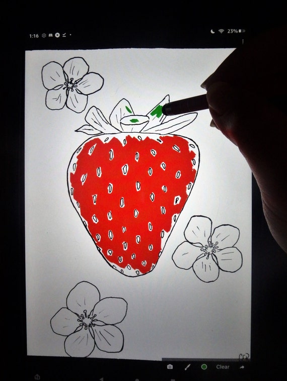 Strawberry flower printable coloring page