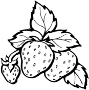 Strawberry coloring pages free coloring pages