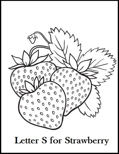 We have collection of fresh strawberry coloring pages to choose from the illustration of pictures is faâ coloring pages fruit coloring pages strawberry drawing