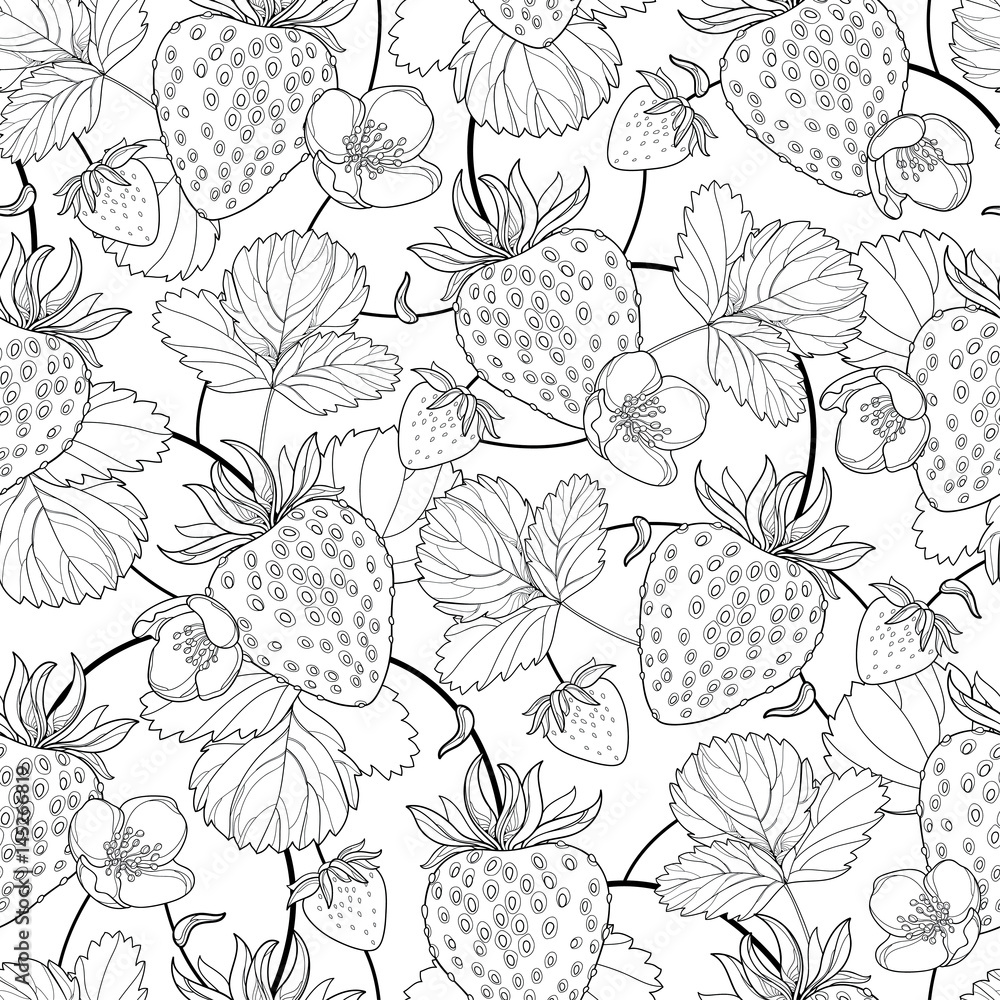 Vector seamless pattern with outline strawberry with berry flowers and leaf in black on the white background floral background with strawberry in contour style for summer design and coloring book vector
