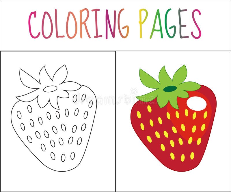 Strawberry sketch illustration stock illustrations â strawberry sketch illustration stock illustrations vectors clipart