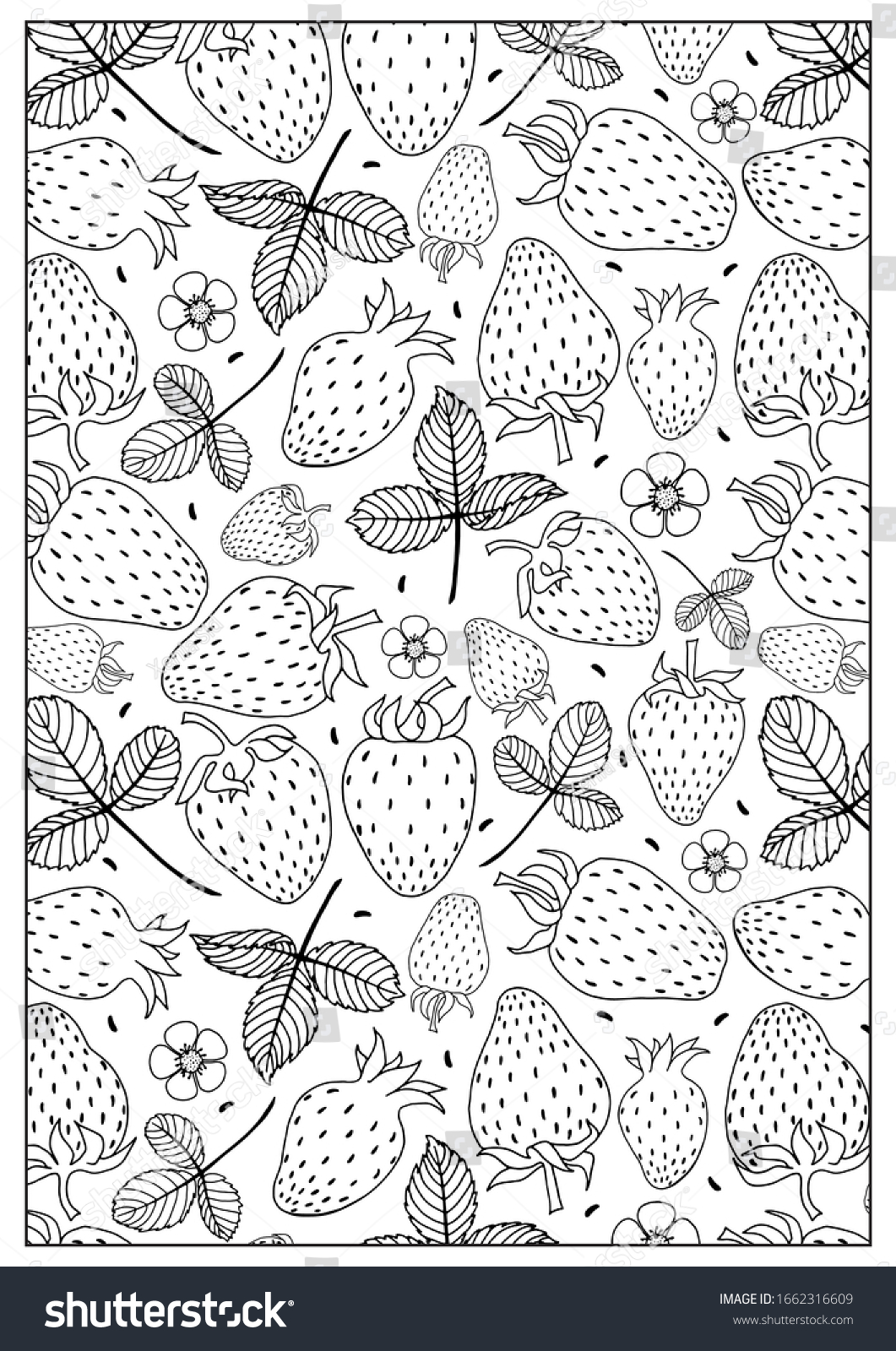 Hand drawn flowers leaves strawberries coloring stock illustration