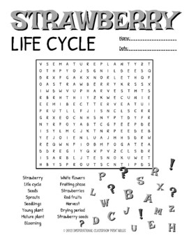Strawberry life cycle word search by inspirational classroom printables