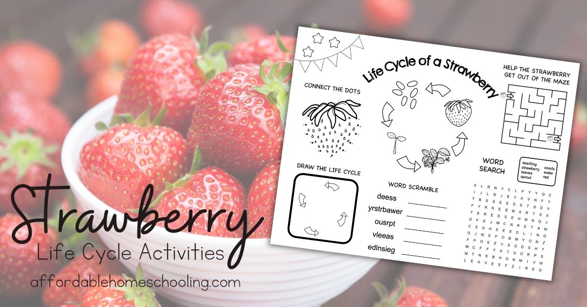 Free printable life cycle of a strawberry activities