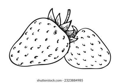 Strawberry worksheet images stock photos d objects vectors