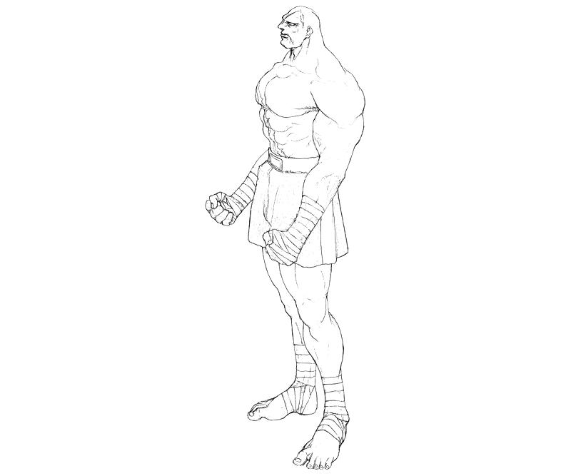 Street fighter sagat actions yumiko fujiwara