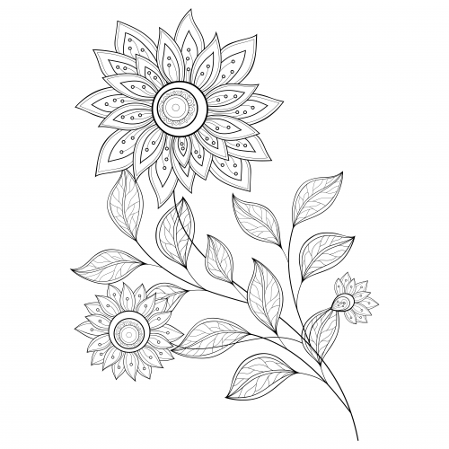 Advanced flower coloring pages