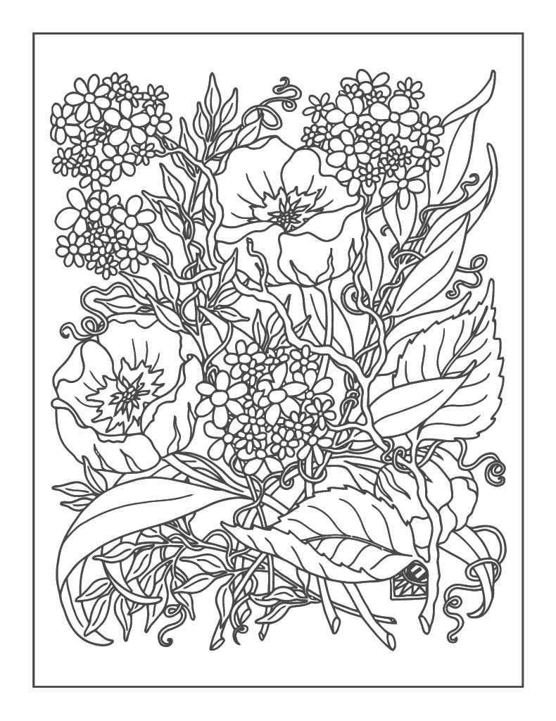 Botanical flower coloring pages for adults to help with stress and relaxation