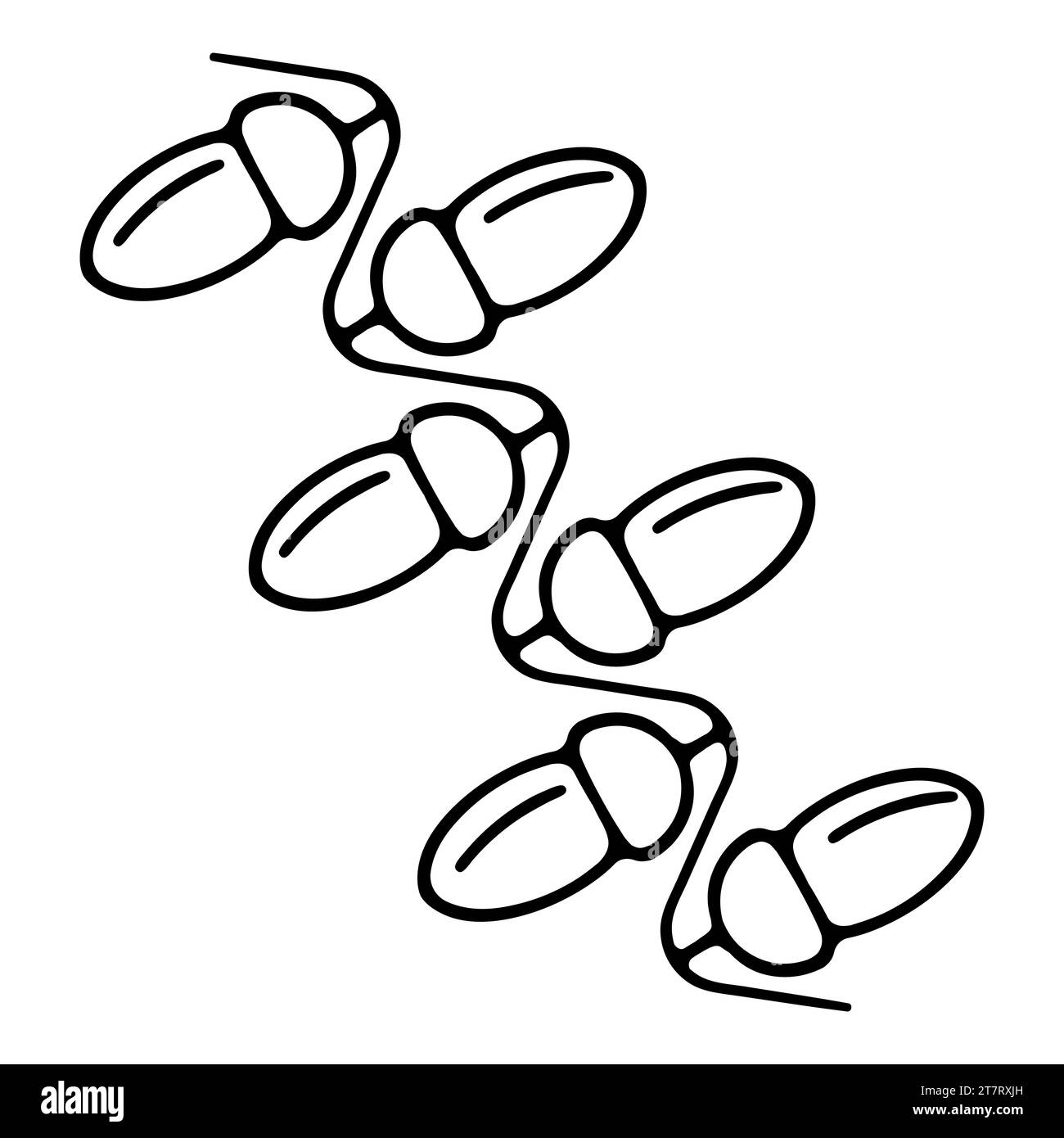 Christmas lights string black and white stock photos images