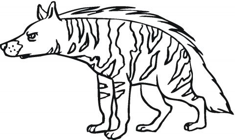 Hyenas coloring pages super coloring hyena animal coloring books coloring pages