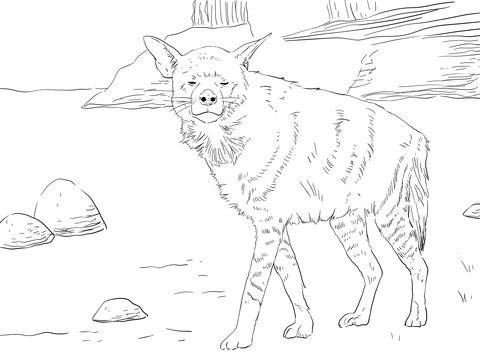 Striped hyena coloring page free printable coloring pages