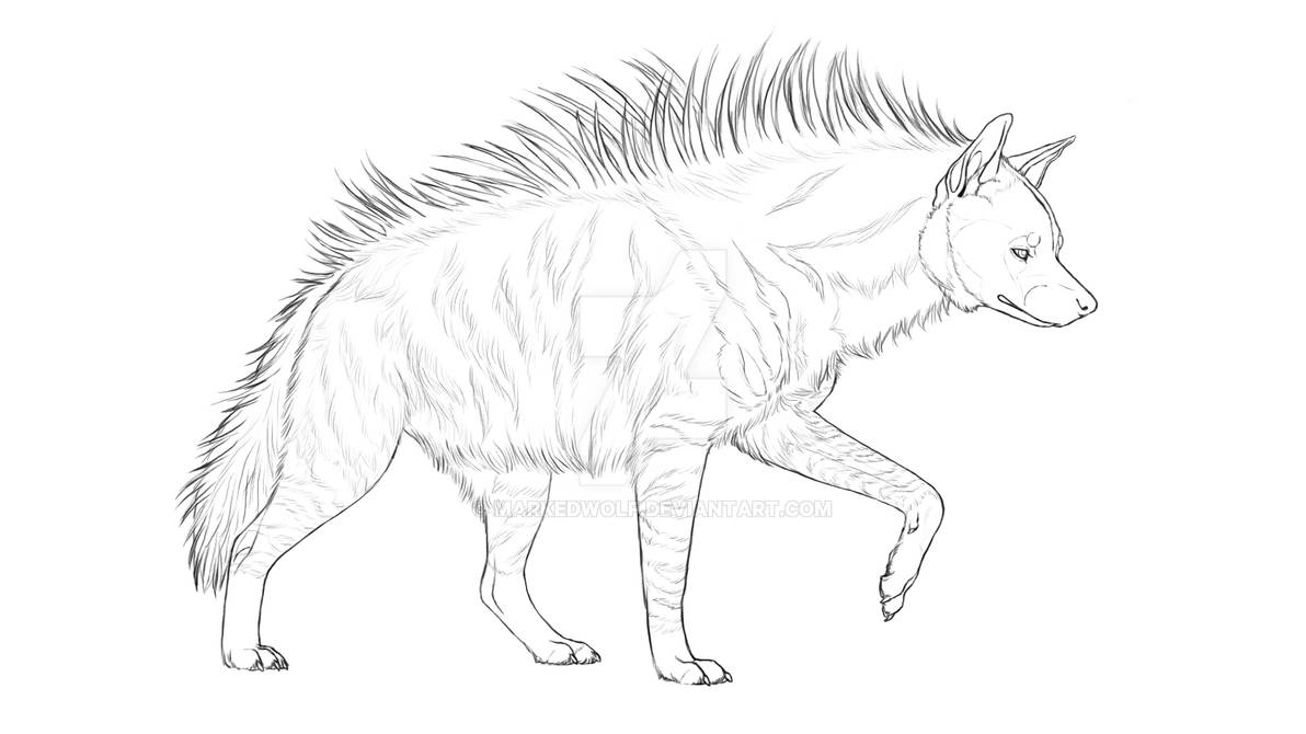 Striped hyena by markedwolf on
