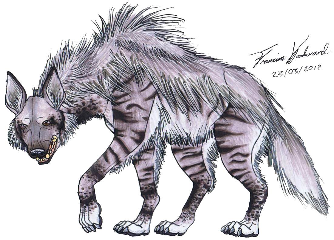 Striped hyena practice by farumir on
