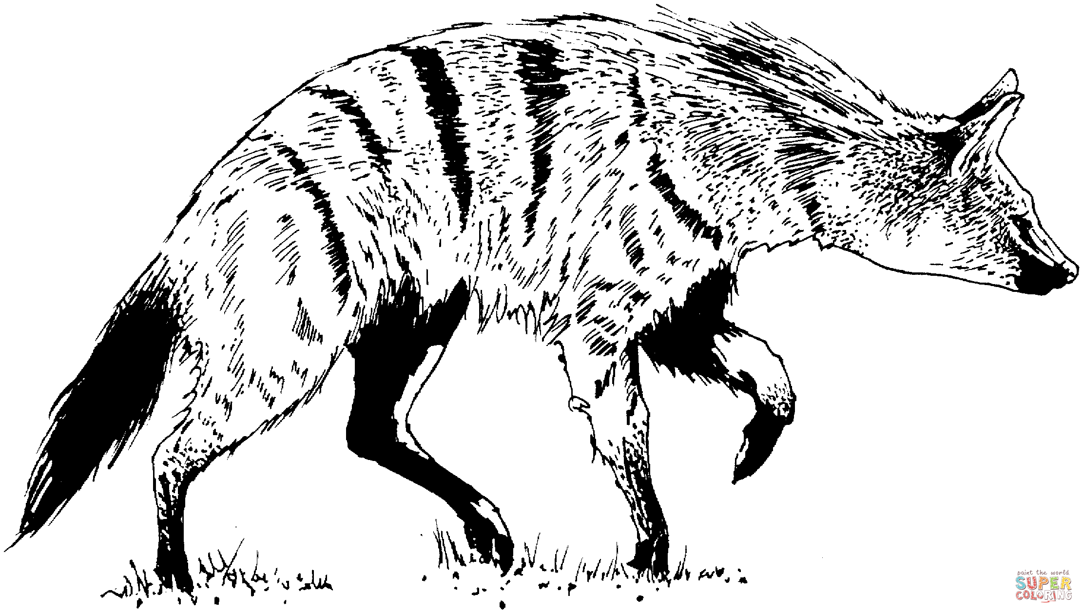 Realistic striped hyena coloring page free printable coloring pages