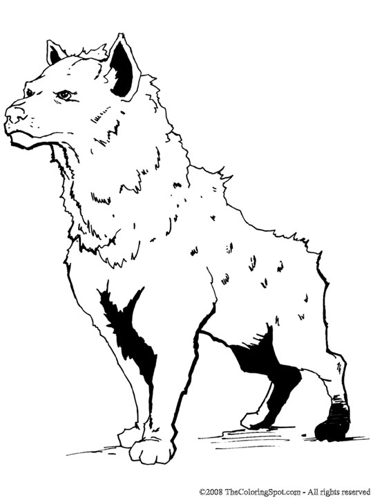Hyena coloring page audio stories for kids free coloring pages colouring printables