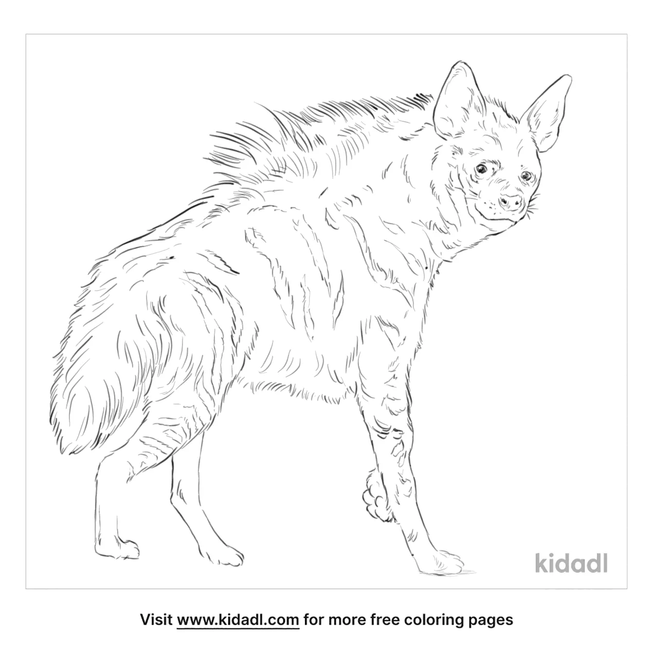 Free striped hyena coloring page coloring page printables
