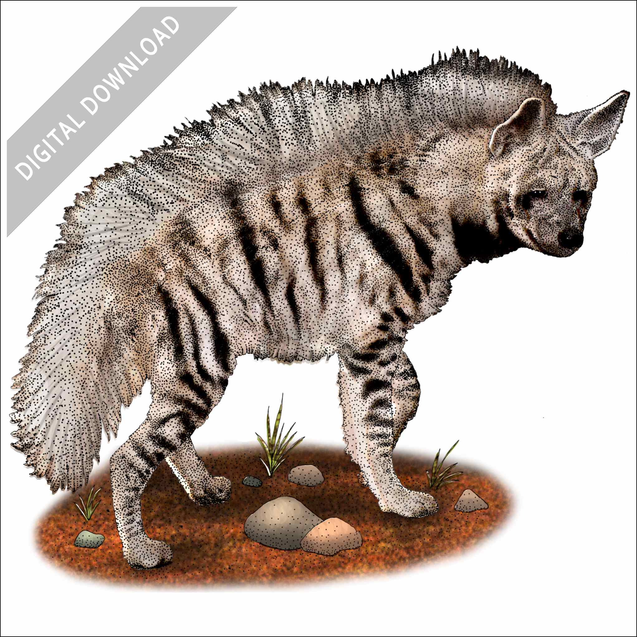 Stock art drawing of a striped hyena