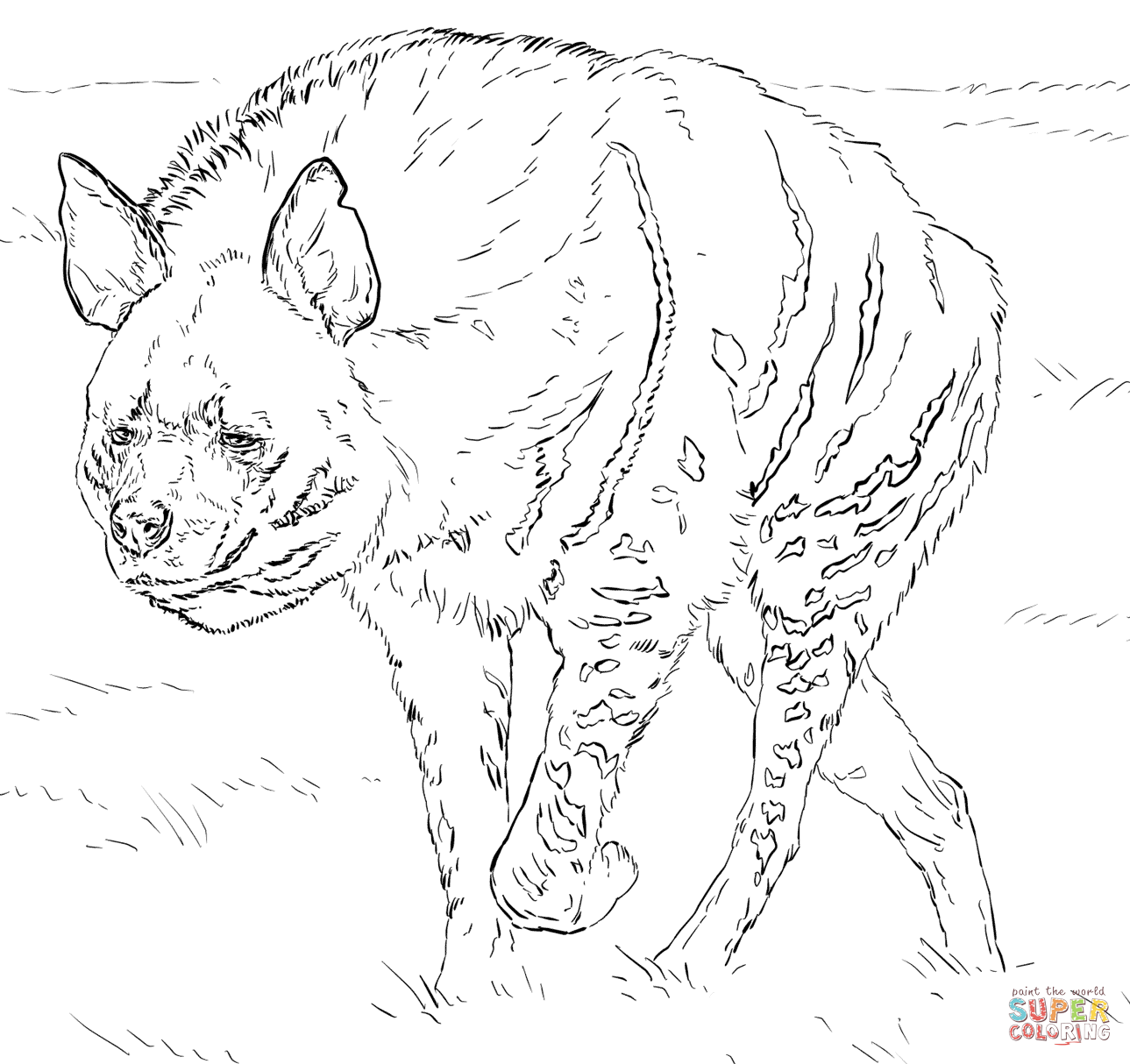 Striped hyena coloring page free printable coloring pages