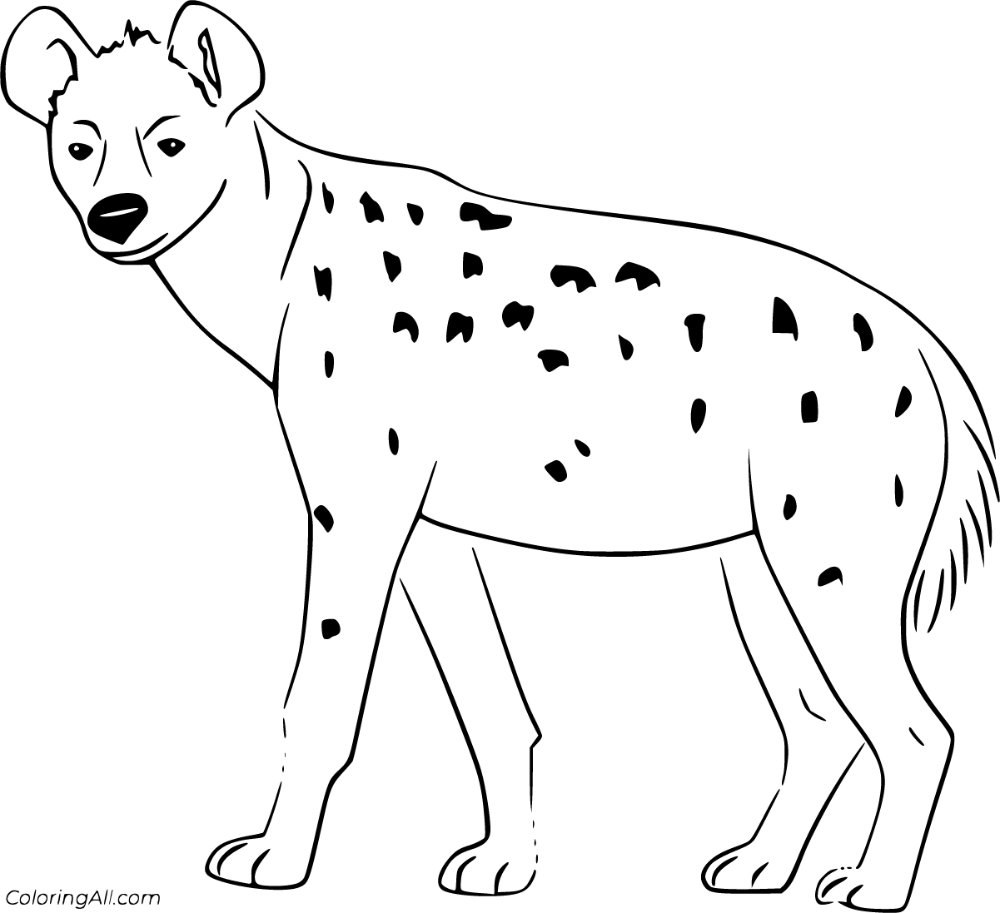 Hyena coloring pages dog coloring page animal coloring pages hyena
