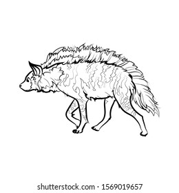 Striped hyena images stock photos d objects vectors