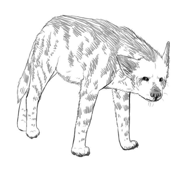 Striped hyena by mumsbu on