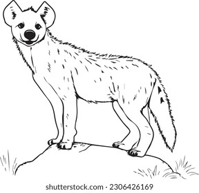 Hyena vector line art cartoon style ññððºðððñ ððµðºñðñððñ ðñðñððºð ððµð