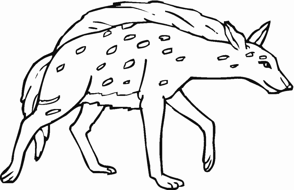 Hyena coloring pages