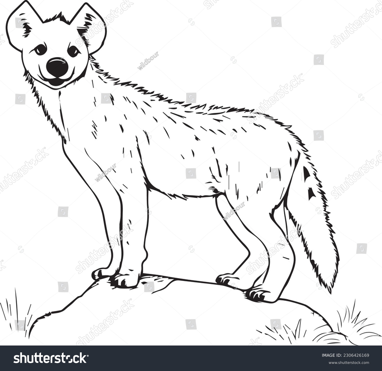 Hyena vector line art cartoon style stock vector royalty free