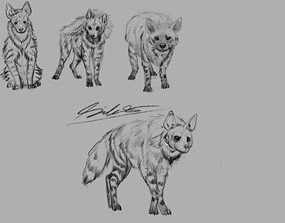 Striped hyena proyectos fotos vãdeos logotipos ilustraciones y marcas