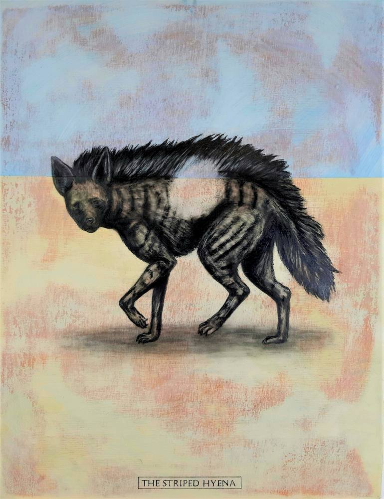 The striped hyena drawing by tom van herrewege saatchi art
