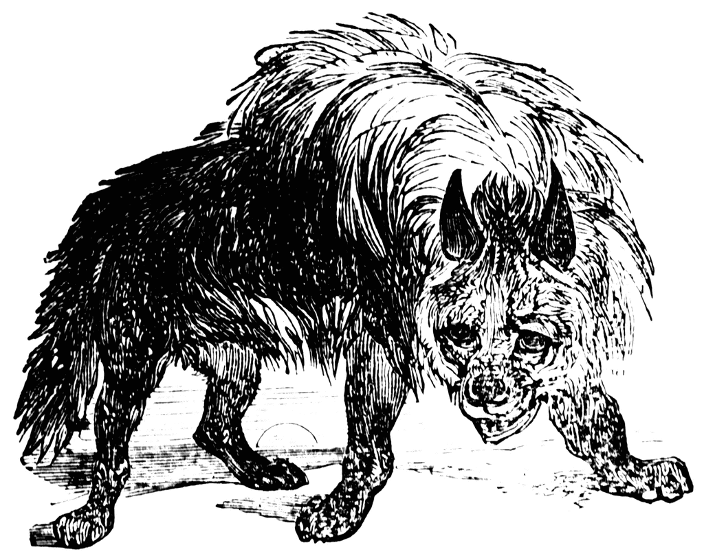 Striped hyena clipart