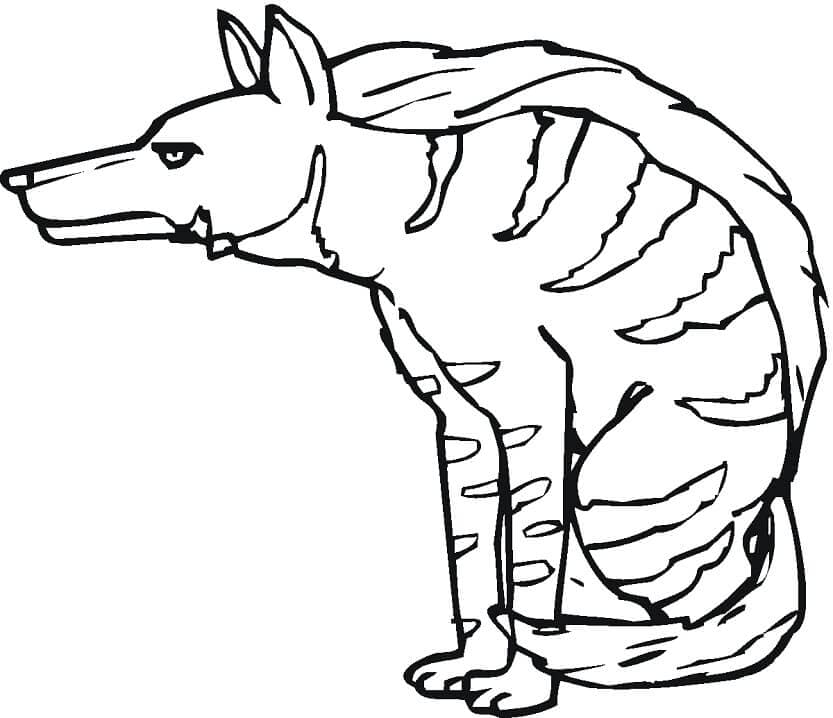 Sitting hyena coloring page