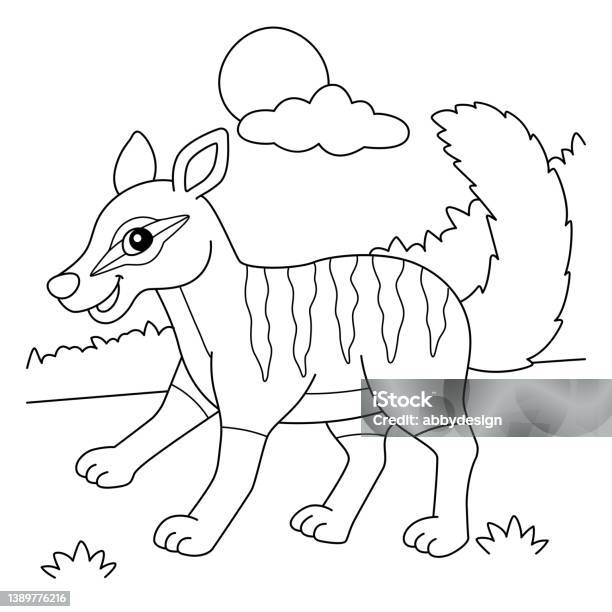 Numbat animal coloring page for kids stock illustration